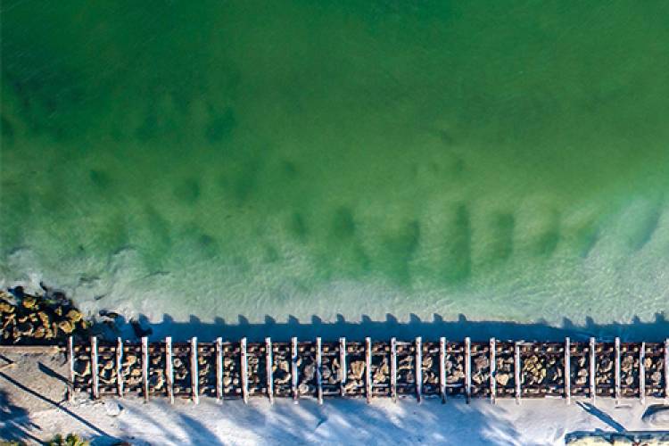 coquina beach on the south end of anna maria island