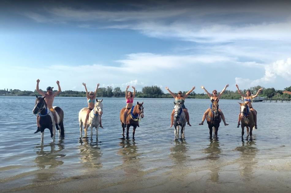 horse back riding on anna maria island fun things to do